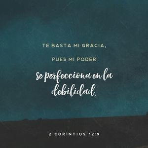 Meet your Posher, Blanca soledad